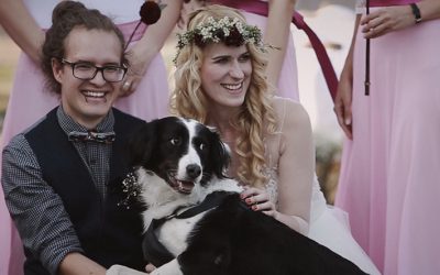 Állatok az esküvőn – ha nem szeretnéd otthon hagyni kedvenceidet
